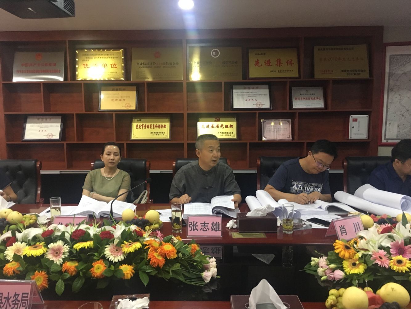 5.重慶市水利局張志雄處長(專家組組長)發(fā)言.jpg